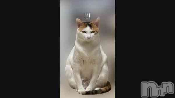 �ְ����Ϥ����ȥХ�����������衩��