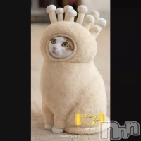 �Ȥ�ߥޥ� ����