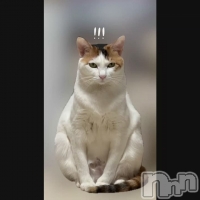 �Ȥ�ߥޥ� ����