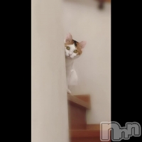 Ȥߥޥ 