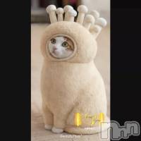 1/1  �����Ƥ���