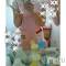 Ĺ襳ѥ˥󥯥ֻ򥳥ѥ˥󥯥 Amour(ࡼ) Ȥߥޥޤ67̥֥֤褩â