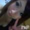 Ĺ襳ѥ˥󥯥ֻ򥳥ѥ˥󥯥 Amour(ࡼ) Ȥߥޥޤ613ֵ̥֥