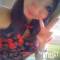 Ĺ襳ѥ˥󥯥ֻ򥳥ѥ˥󥯥 Amour(ࡼ) Ȥߥޥޤ622̥֥֤٤ߢ