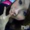 Ĺ襳ѥ˥󥯥ֻ򥳥ѥ˥󥯥 Amour(ࡼ) Ȥߥޥޤ88̥֥֤Υ֥