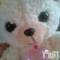 Ĺ襳ѥ˥󥯥ֻ򥳥ѥ˥󥯥 Amour(ࡼ) Ȥߥޥޤ1123̥֥1122()̾