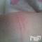 Ĺ襳ѥ˥󥯥ֻ򥳥ѥ˥󥯥 Amour(ࡼ) Ȥߥޥޤ116ֹ̥֥Ԥ٤?