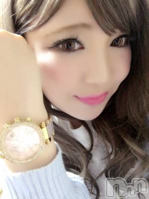 ƲХ顦151-A() 512̥֥New❤︎