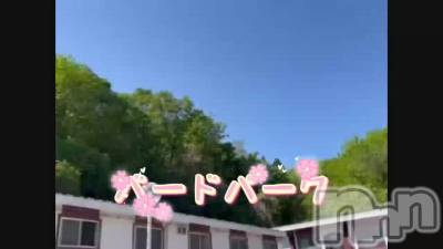 長岡風俗エステ 長岡風俗出張アロママッサージ(ナガオカフウゾクシュッチョウアロママッサージ) ルイ☆ハーフ美人(33)の5月11日動画「バードパーク＾＾」