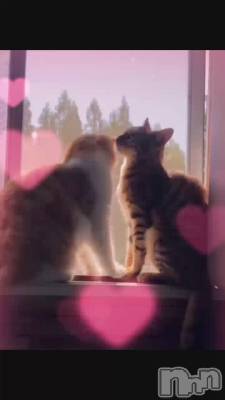 長岡デリヘル 長岡風俗出張アロママッサージ(ナガオカフウゾクシュッチョウアロママッサージ) ルイ☆ハーフ美人(33)の6月4日動画「恋の季節＾＾」