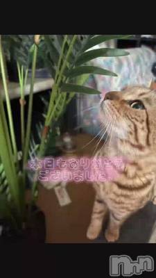 長岡風俗エステ 長岡風俗出張アロママッサージ(ナガオカフウゾクシュッチョウアロママッサージ) ルイ☆ハーフ美人(33)の5月10日動画「笑」