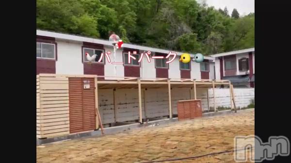 長岡風俗エステ長岡風俗出張アロママッサージ(ナガオカフウゾクシュッチョウアロママッサージ) ルイ☆ハーフ美人(33)の5月15日動画「」