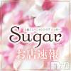 襳ѥ˥󥯥 Sugar(奬)520Ź®6߹礤ޤ😊