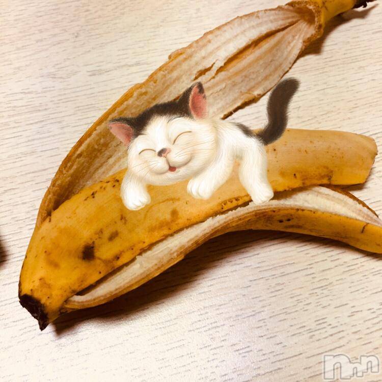 襳ѥ˥󥯥Sugar(奬) Sugarޤޥޤ111̥֥־ʢ