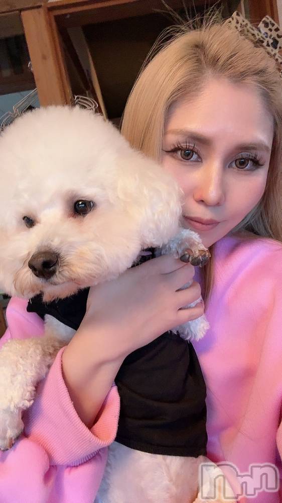 襳ѥ˥󥯥Sugar(奬) Sugarޤޥޤ1115̥֥☀️☁️