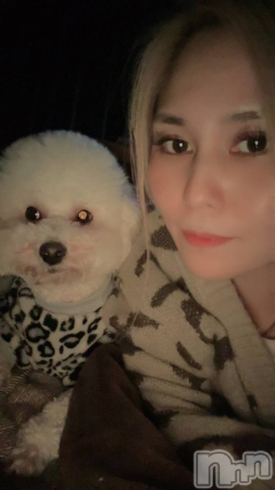 襳ѥ˥󥯥Sugar(奬) Sugarޤޥޤ1123̥֥🐕 ͗ ͗