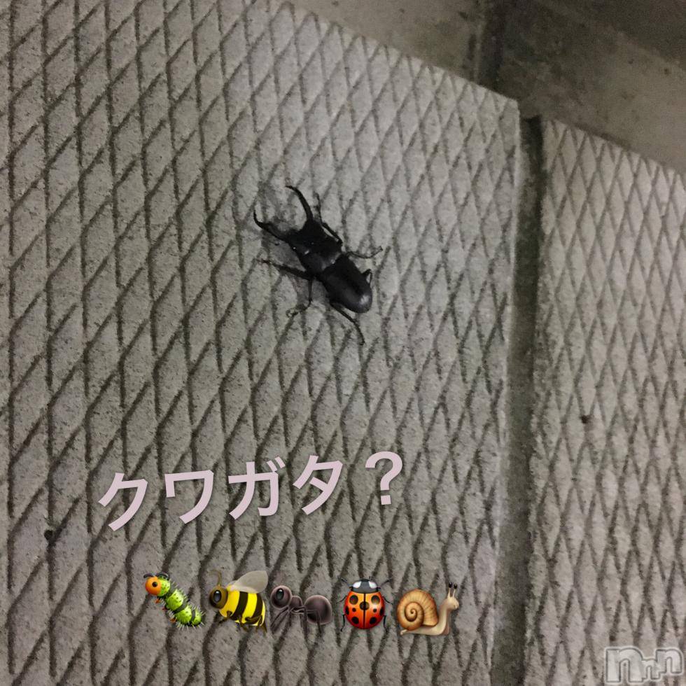 襳ѥ˥󥯥Sugar(奬) 2018ǯ518̥֥֤ΤȤˡ