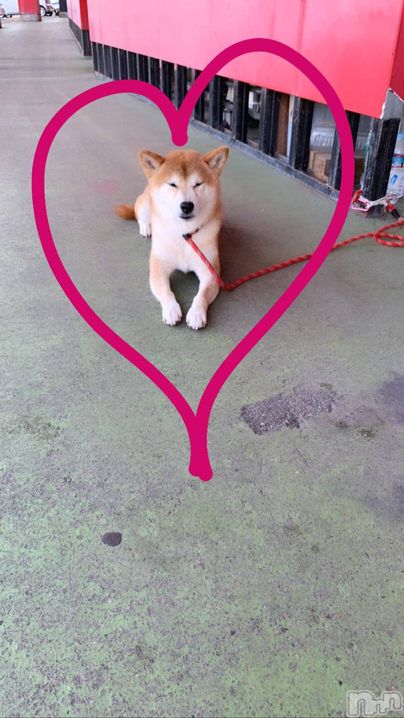 襳ѥ˥󥯥Sugar(奬) 2020ǯ818̥֥֥󥰥ޡåȡ