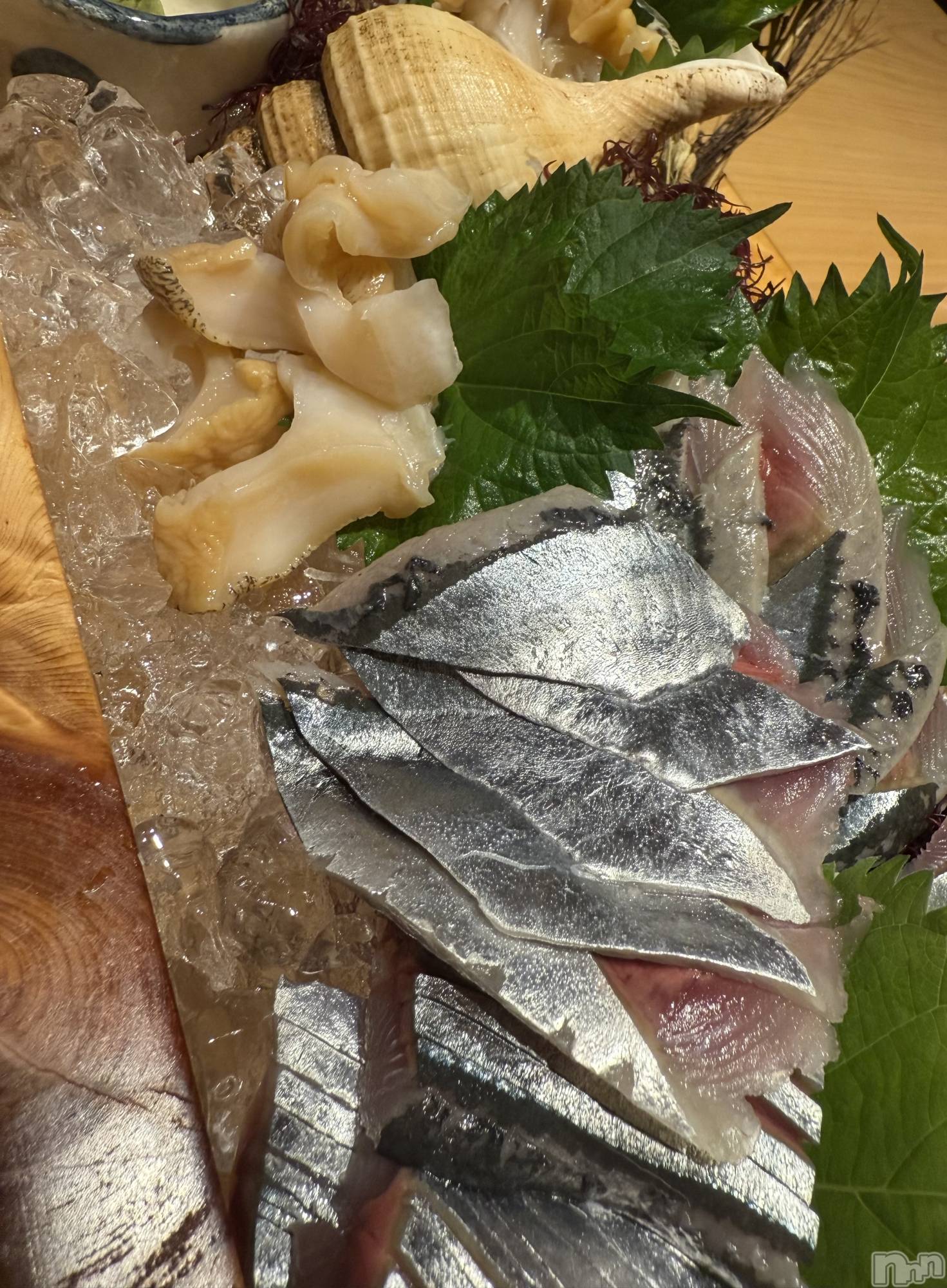 襳ѥ˥󥯥Sugar(奬) 2025ǯ915̥֥🐟