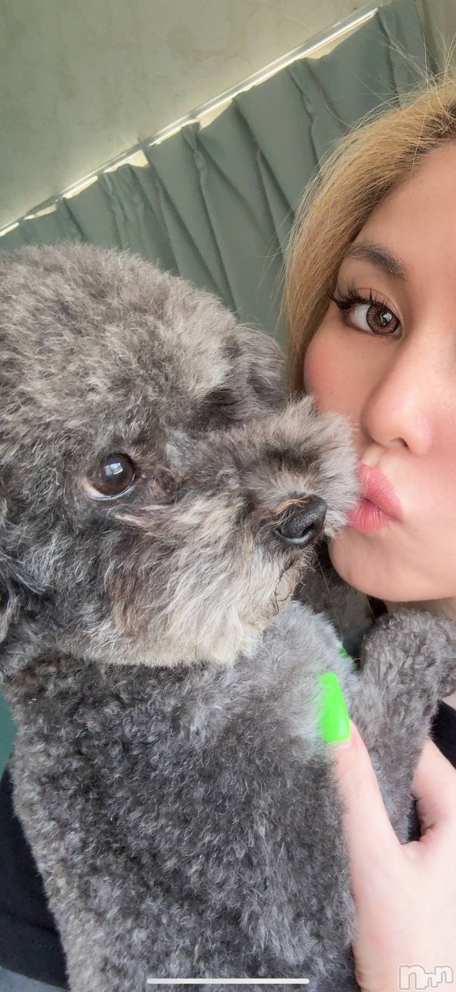 襳ѥ˥󥯥Sugar(奬) 2025ǯ916̥֥🐶