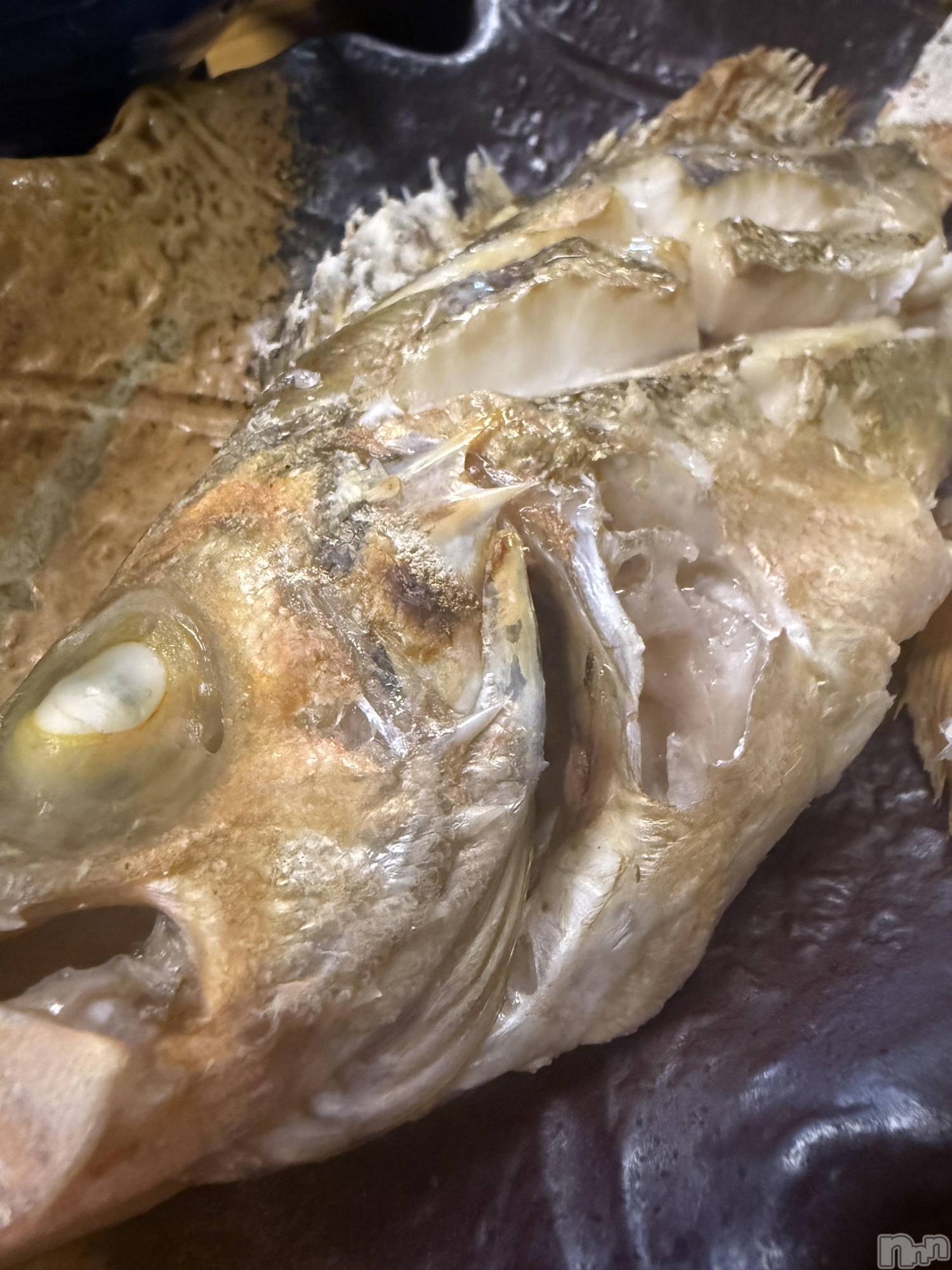 襳ѥ˥󥯥Sugar(奬) 2025ǯ1026̥֥🐟‪˜˷