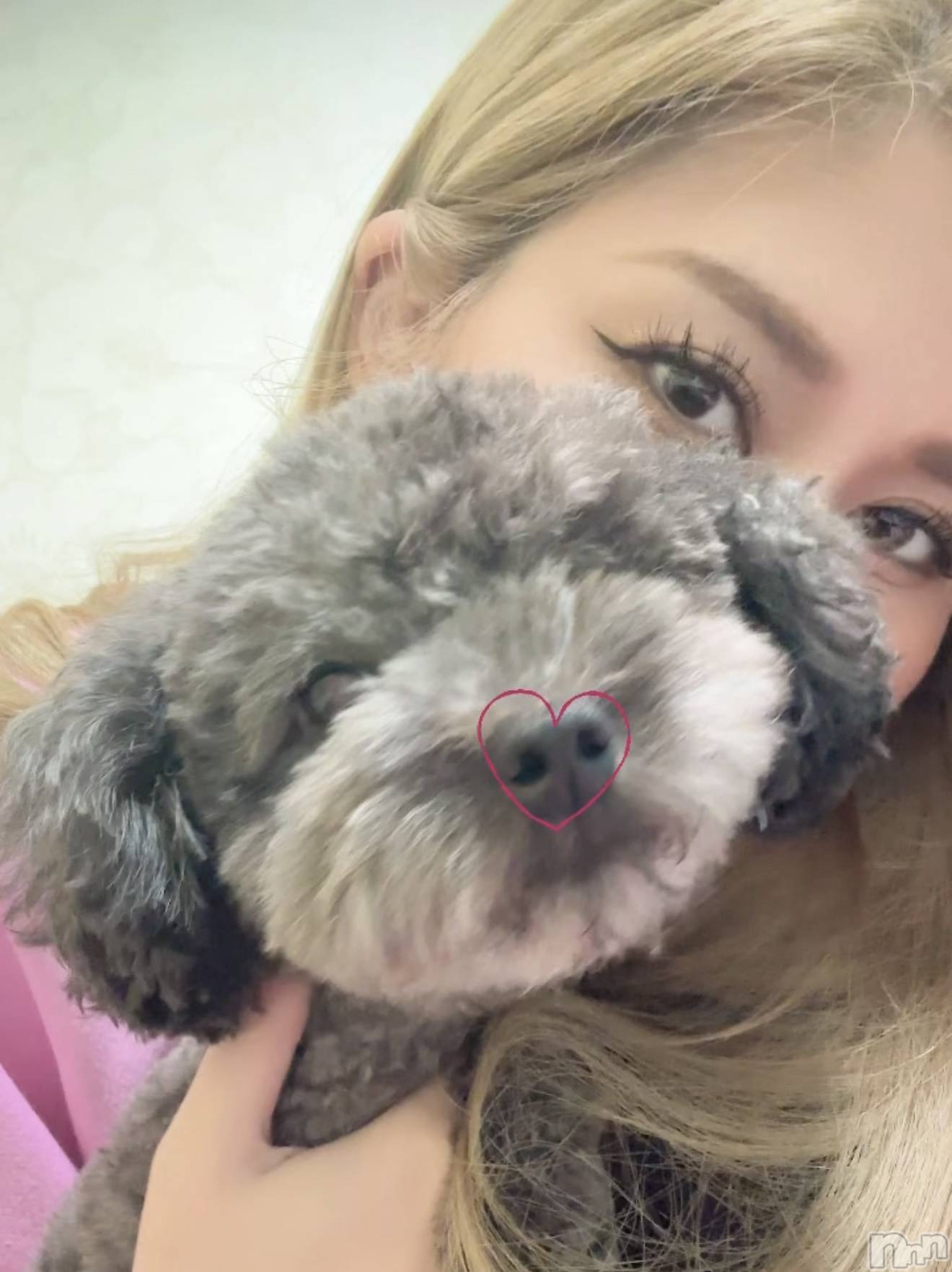 襳ѥ˥󥯥Sugar(奬) 2025ǯ111̥֥11