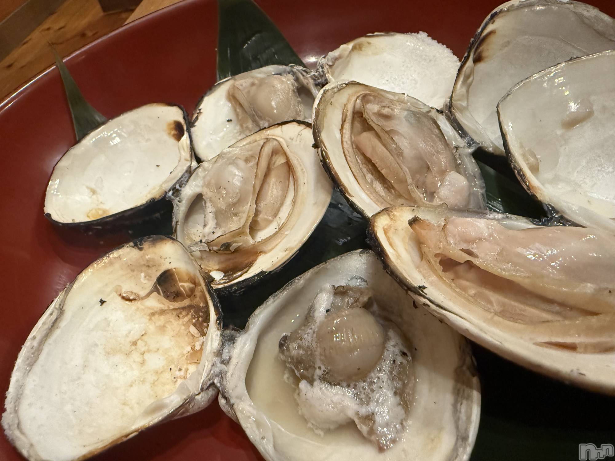 襳ѥ˥󥯥Sugar(奬) 2025ǯ115̥֥🦪🐚🐚🐚🐚🐚