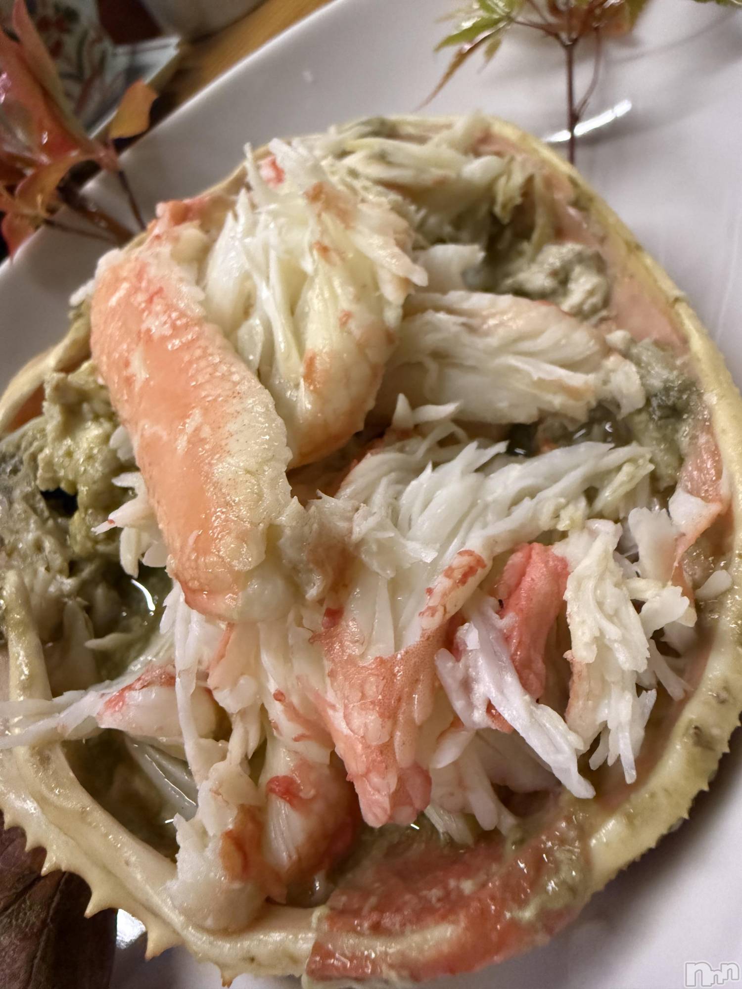 襳ѥ˥󥯥Sugar(奬) 2025ǯ1110̥֥🥹