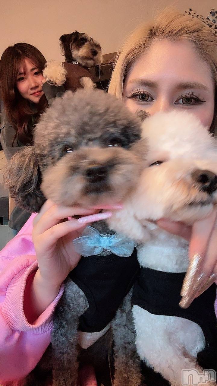 襳ѥ˥󥯥Sugar(奬) 2025ǯ1112̥֥🐶