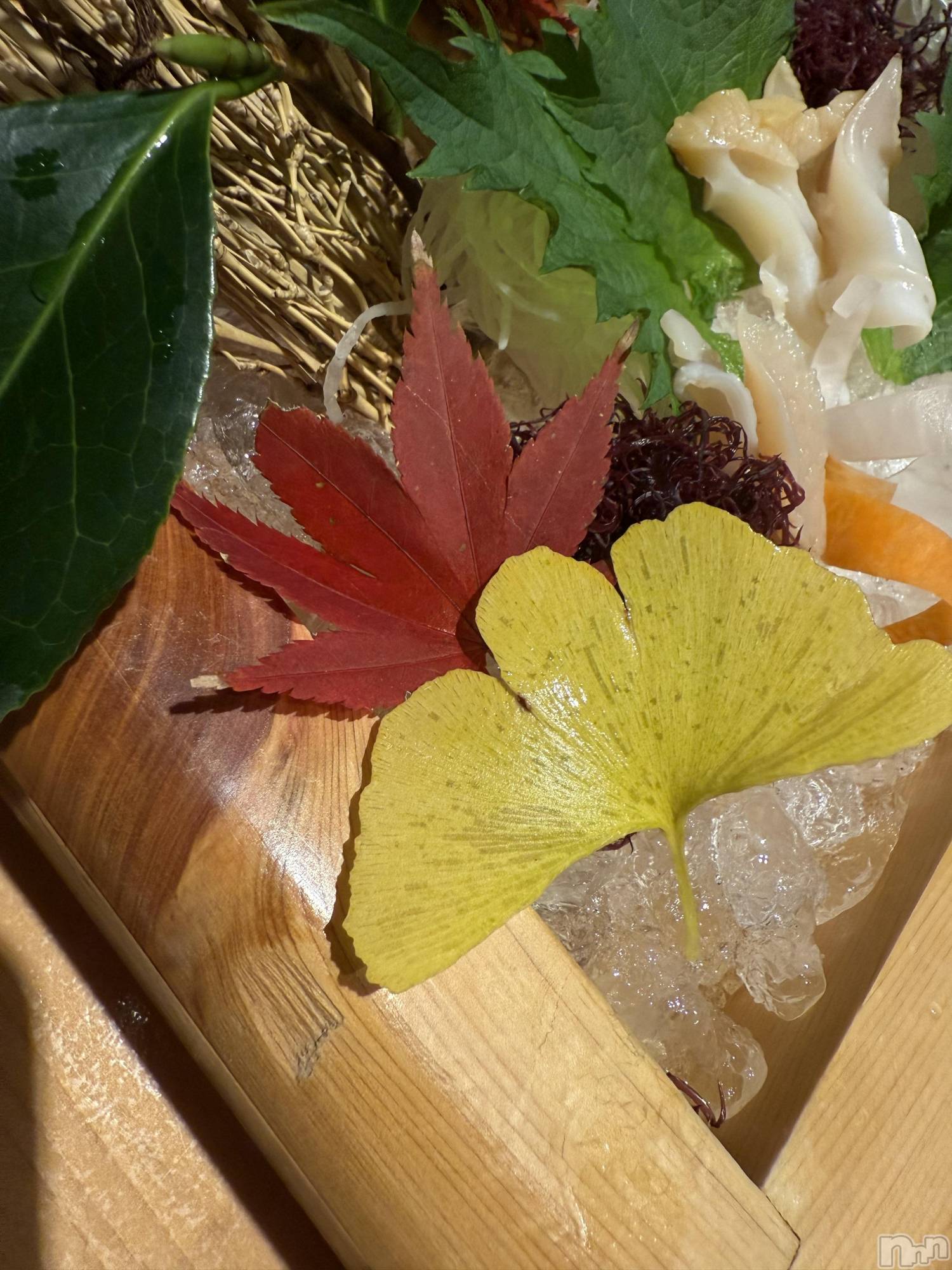 襳ѥ˥󥯥Sugar(奬) 2025ǯ1120̥֥➰🍂🍁