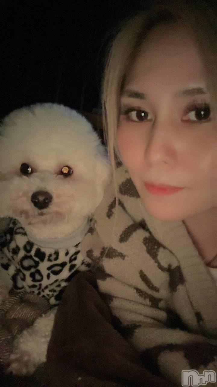 襳ѥ˥󥯥Sugar(奬) 2025ǯ1123̥֥🐕 ͗ ͗