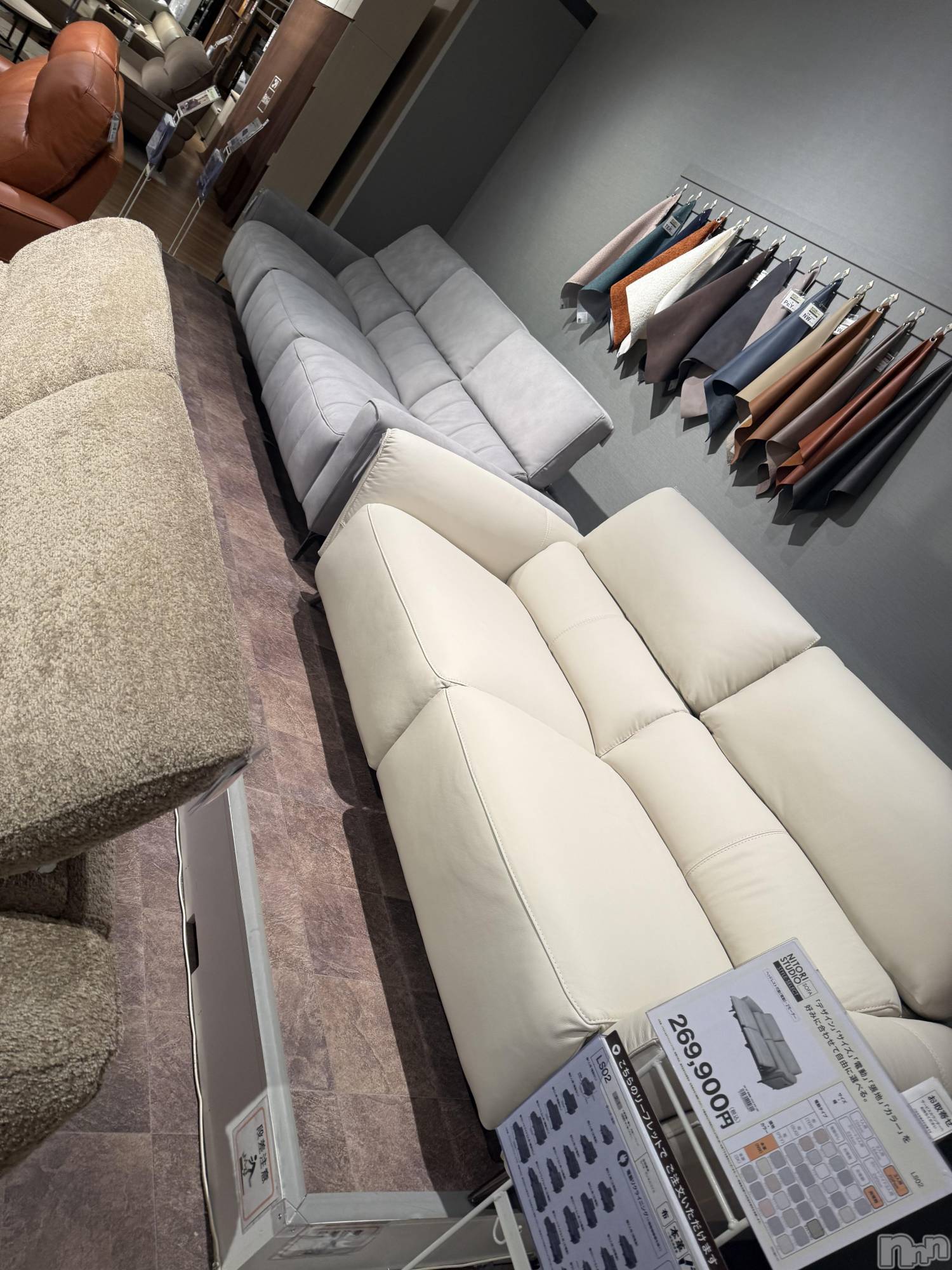 襳ѥ˥󥯥Sugar(奬) 2025ǯ129̥֥🛋⸝⸝