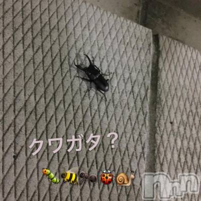 襳ѥ˥󥯥Sugar(奬) Sugarޤޥ(31)518̥֥֤ΤȤˡ