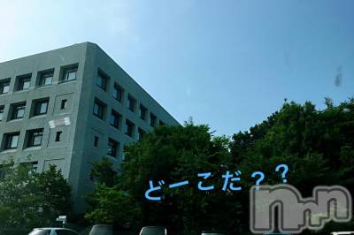 襳ѥ˥󥯥Sugar(奬) Sugarޤޥ(31)719̥֥719 1519ʬΥ֥