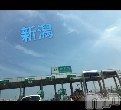 襳ѥ˥󥯥Sugar(奬) Sugarޤޥ(31)812ֺ̥֥Ǥ롼(ᯅ̈ )