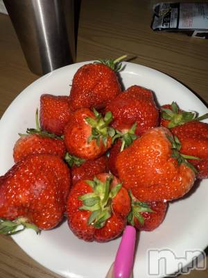 襳ѥ˥󥯥Sugar(奬) Sugarޤޥ(31)510̥֥🍓🐄
