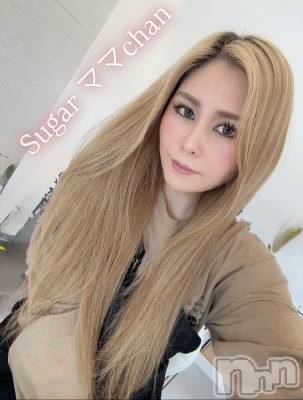 ˤ륳ѥ˥󥯥֡Sugar(奬)פΥ㥹ȡSugarޤޥޡפξҲ