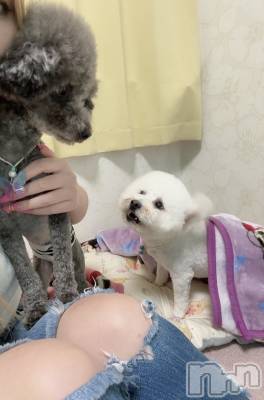 襳ѥ˥󥯥Sugar(奬) Sugarޤޥ(31)626̥֥🐶🐾