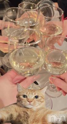 ������襳��ѥ˥��󥯥��Sugar(���奬��) Sugar�ޤ��ޥ�(31)��10��12���̥�֥�����🥂👯‍��️✨👱🏽‍��️💖👱🏽‍��️��