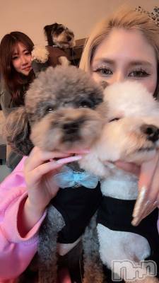 ������襳��ѥ˥��󥯥��Sugar(���奬��) Sugar�ޤ��ޥ�(31)��11��12���̥�֥�����🐶��