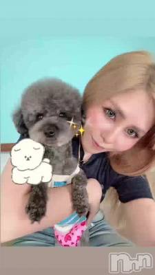 🐶🐾🐶