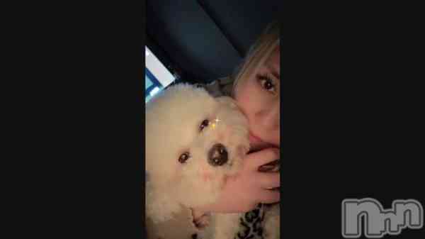 ��ᐡ-ﻌ•ᐡ🐾��