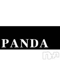 Ĺԥʥå륺С PANDA(ѥ) β(3)