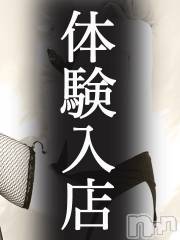 上田発デリヘル人妻華道 上田店(ヒトヅマハナミチウエダテン)の10月8日お店速報「＼( 'ω')／体験入店です＼( 'ω')／」
