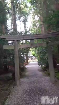 ŷ褫ä