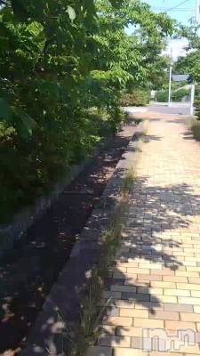 Ϥ衼