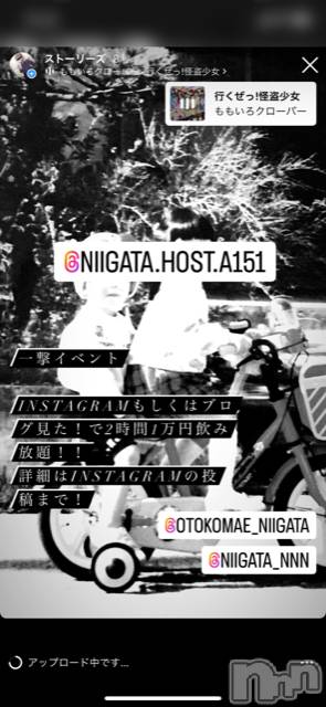 ĮۥȡܡСA151(ݥ) ɥХ 褦924̥֥