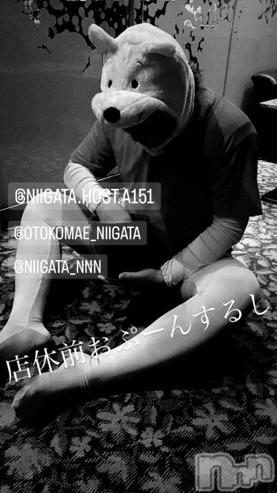 ĮۥȡܡСA151(ݥ) ɥХ 褦1113ַ̥֥