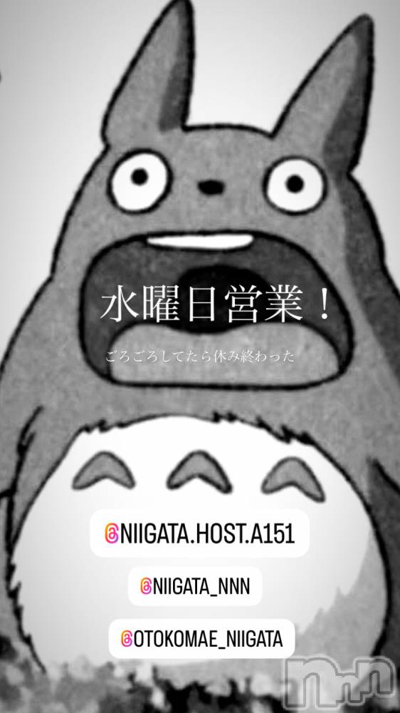 ĮۥȡܡСA151(ݥ) ɥХ 褦124ֿ̥֥