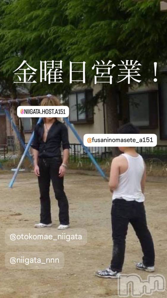 ĮۥȡܡСA151(ݥ) ɥХ 褦59ֶ̥֥